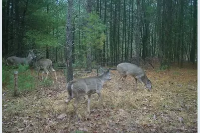 N2325 Elm Street, Wautoma, WI 54982 - Photo 51