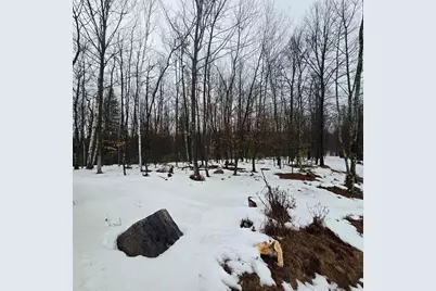 Westman Dam Road, Cedar River, MI 49887 - Photo 5