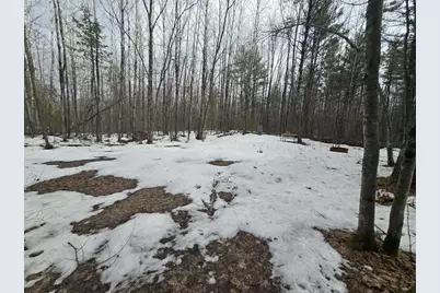 Rabbit Trail Road, Wausaukee, WI 54177 - Photo 3