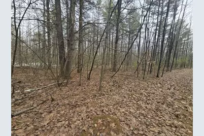 Rabbit Trail Road, Wausaukee, WI 54177 - Photo 1