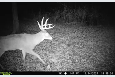 334 Thomas Way, Sobieski, WI 54171 - Photo 65