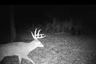 334 Thomas Way, Sobieski, WI 54171 - Photo 65