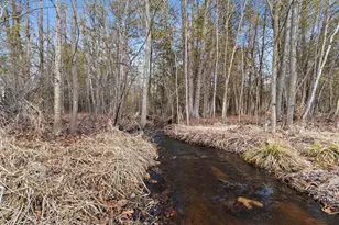 334 Thomas Way, Sobieski, WI 54171 - Photo 59