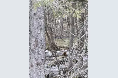 N14181 US Highway 141, Amberg, WI 54102 - Photo 49