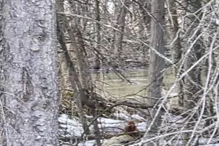 N14181 US Hwy 141, Amberg, WI 54102 - Photo 49