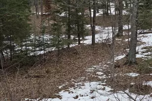 N14181 US Hwy 141, Amberg, WI 54102 - Photo 47