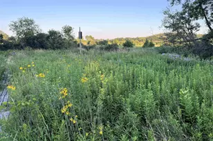 W831 State Road 91, Berlin, WI 54923 - Photo 13