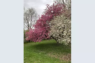 W831 State Road 91, Berlin, WI 54923 - Photo 11