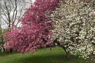 W831 State Road 91, Berlin, WI 54923 - Photo 11