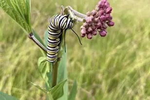 W831 State Road 91, Berlin, WI 54923 - Photo 17