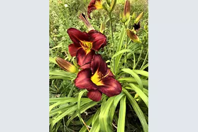 W831 State Road 91, Berlin, WI 54923 - Photo 15