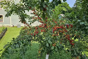 913 W Fifth St, Appleton, WI 54914 - Photo 55