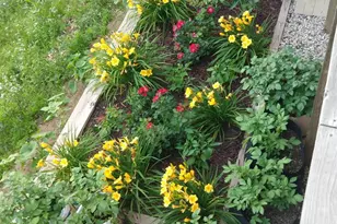 W5155 N Twin Lake Rd, Waupaca, WI 54981 - Photo 51