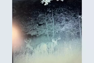 W8970 Cottonville Drive, Wautoma, WI 54982 - Photo 83