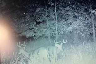 W8970 Cottonville Dr, Wautoma, WI 54982 - Photo 83