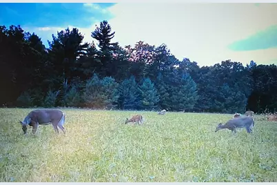 W8970 Cottonville Drive, Wautoma, WI 54982 - Photo 85