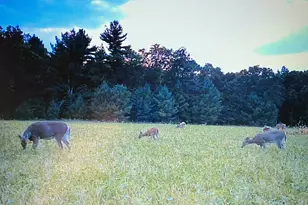 W8970 Cottonville Dr, Wautoma, WI 54982 - Photo 85