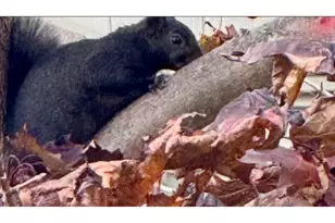 131 Mckinley St, Two Rivers, WI 54241 - Photo 33