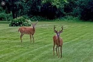 W2268 Ledgeview Rd, Green Lake, WI 54941 - Photo 25