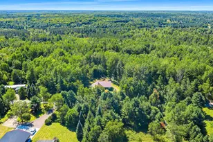 14533 Joseph Ln, Mountain, WI 54149 - Photo 9