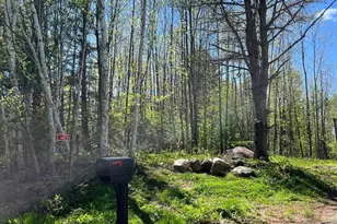 14533 Joseph Ln, Mountain, WI 54149 - Photo 41