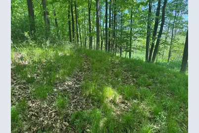 W17810 Eland Road, Wittenberg, WI 54499 - Photo 87