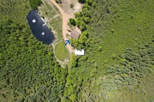 W17810 Eland Rd, Wittenberg, WI 54499 - Photo 31