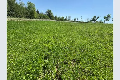 W17810 Eland Road, Wittenberg, WI 54499 - Photo 51