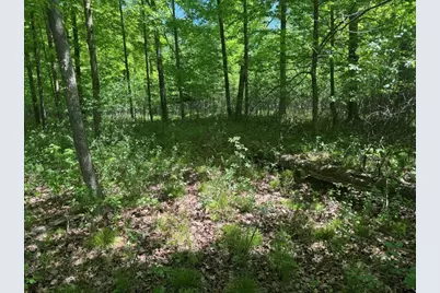 W17810 Eland Road, Wittenberg, WI 54499 - Photo 79