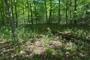 W17810 Eland Rd, Wittenberg, WI 54499 - Photo 79