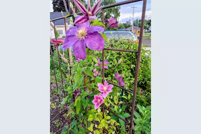 2412 N Morrison Street, Appleton, WI 54911 - Photo 33