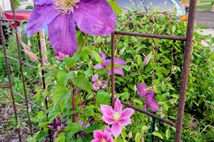 2412 N Morrison St, Appleton, WI 54911 - Photo 33