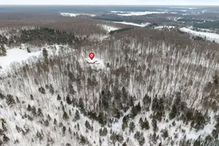 N10035 Red River Rd, Bowler, WI 54416 - Photo 55