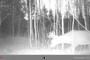 N10035 Red River Rd, Bowler, WI 54416 - Photo 37