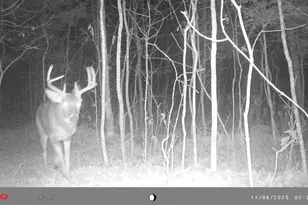 N10035 Red River Rd, Bowler, WI 54416 - Photo 59