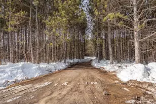5164 Stiles Rd, Lena, WI 54139 - Photo 57