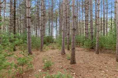 W6471 Hidden Springs Drive, Neshkoro, WI 54960 - Photo 5