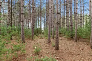 W6471 Hidden Springs Dr, Neshkoro, WI 54960 - Photo 5