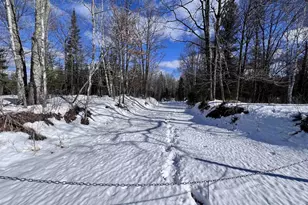 Nejedlo Rd, Wausaukee, WI 54177 - Photo 1