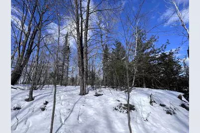 Nejedlo Road, Wausaukee, WI 54177 - Photo 7