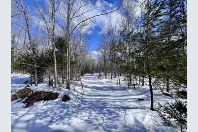 Nejedlo Road, Wausaukee, WI 54177 - Photo 3