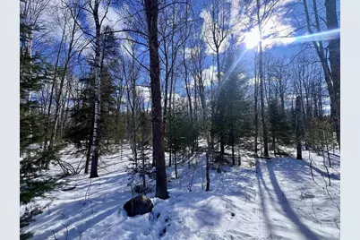 Nejedlo Road, Wausaukee, WI 54177 - Photo 5