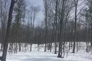 Rhett Ln, Wausaukee, WI 54177 - Photo 1