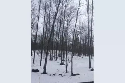 Rhett Lane, Wausaukee, WI 54177 - Photo 3