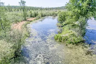 E5097 State Road 54, Weyauwega, WI 54983 - Photo 53