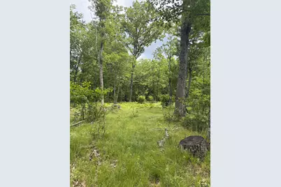 Lot 8 Rhett Lane, Wausaukee, WI 54177 - Photo 3