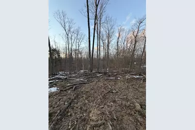 Lot 8 Rhett Lane, Wausaukee, WI 54177 - Photo 3