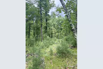 Lot 8 Rhett Lane, Wausaukee, WI 54177 - Photo 5