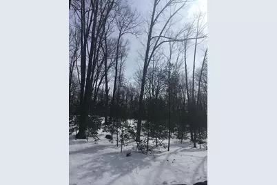Rhett Lane, Wausaukee, WI 54177 - Photo 5