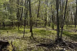 Lot 8 Rhett Ln, Wausaukee, WI 54177 - Photo 1